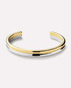 Gold/Silver