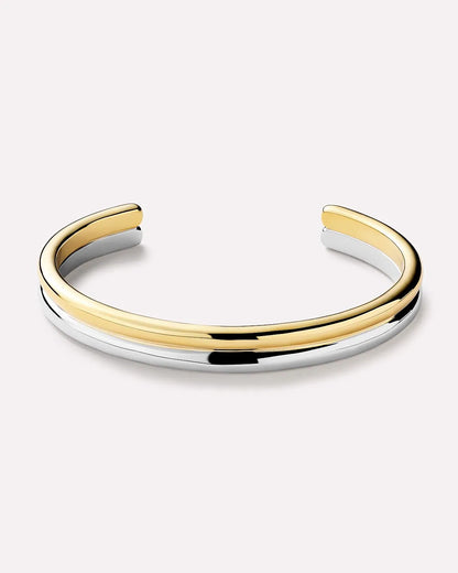 Gold/Silver