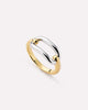 Gold/Silver