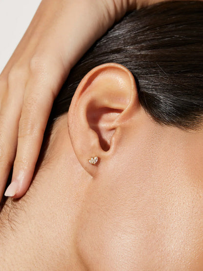 Default Title